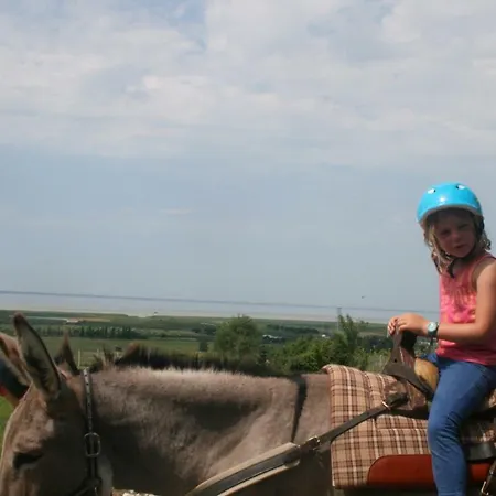A La Ferme Bio Holiday home Mortagne-sur-Gironde